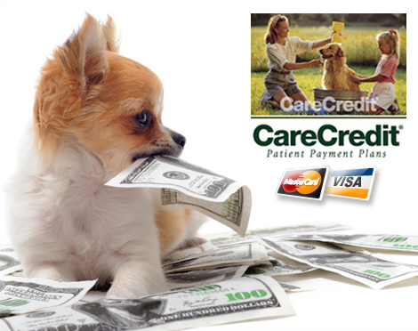 CashCreditCareCredit