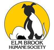 Elmbrook